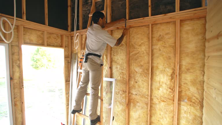 Best Eco-Friendly or Green Insulation Solutions  in Becker, MN